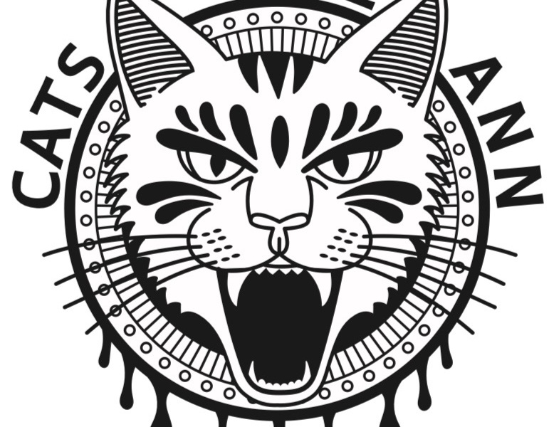 Vector of mad cat in center of mandala, Black Design, Cats of Cape Ann